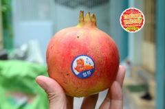 Lựu đỏ Đài Loan