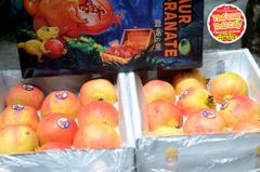 Lựu đỏ Đài Loan