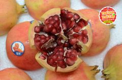 Lựu đỏ Đài Loan