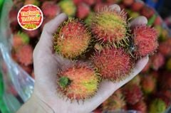 Chôm chôm nhãn - kg