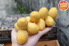Chà là tươi Ấn độ - hộp 500gr