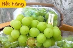 Nho Mẫu đơn Shine Muscat GreenVil Hàn quốc - hộp 900gr