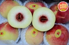 Đào Tuyết Lệ Giang