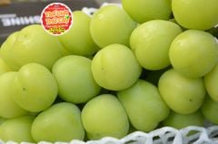 Nho Mẫu đơn Hàn quốc chùm 1kg - kg