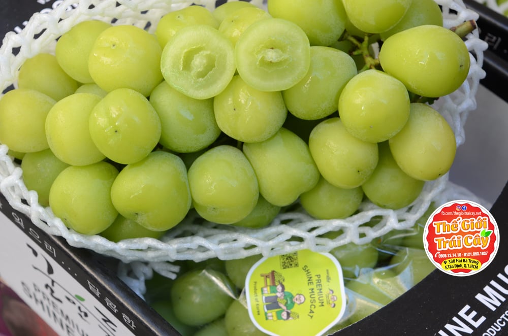 Nho Mẫu đơn Shine Muscat Hàn quốc – Thế Giới Trái Cây Nho Mẫu Đơn Shine Muscat Hàn Quốc – Thế Giới Trái Cây