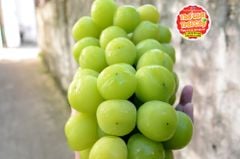 Nho Mẫu đơn Hàn quốc chùm 1kg - kg