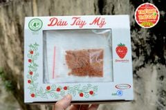 Dâu tây Montery Mỹ - hộp 500gr