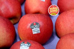 Táo Koru Mỹ size 45