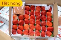 Dâu tây Montery Mỹ - hộp 500gr