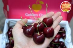 Cherry NewZealand Pure Golden size 28_30mm - hộp 500gr