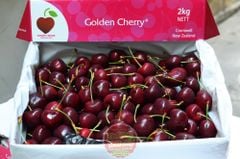 Cherry NewZealand Pure Golden size 28_30mm - hộp 500gr