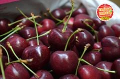 Cherry NewZealand Pure Golden size 28_30mm - hộp 500gr