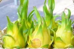 Thanh long vàng Kim Long - kg