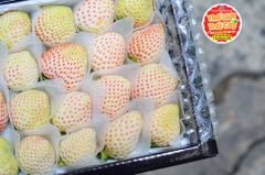 Dâu bạch tuyết - hộp 300gr