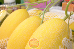 Dưa lưới Bình An - kg