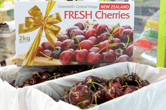 Cherry NewZealand Otago size 28mm - hộp 500gr