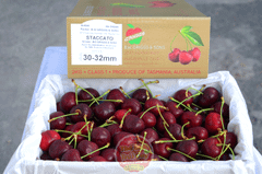 Cherry Úc Griggs&Son Tasmania size 30_32mm - hộp 500gr