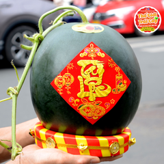 Dưa Tết Hắc mỹ nhân - kg