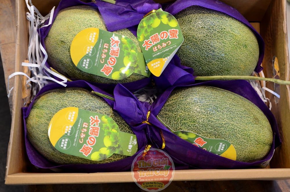 Dưa lưới Aladin Đài Loan Premium - Thế giới trái cây