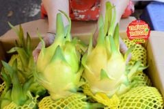 Thanh long vàng Kim Long - kg