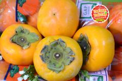 Hồng giòn Hàn quốc Premium - kg