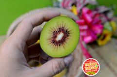 Kiwi ruột đỏ Hàn quốc