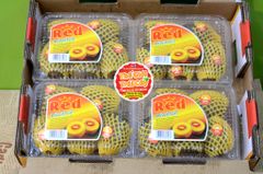 Kiwi ruột đỏ Hàn quốc
