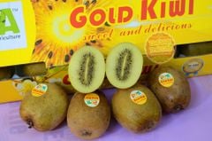 Kiwi vàng nội đia Trung - hộp 2 quả 450gr