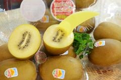 Kiwi vàng Zespri Pháp - kg