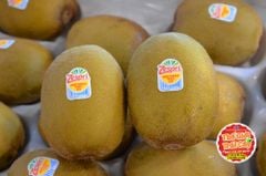 Kiwi vàng Zespri Pháp - kg