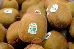 Kiwi xanh Zespri NewZealand - kg