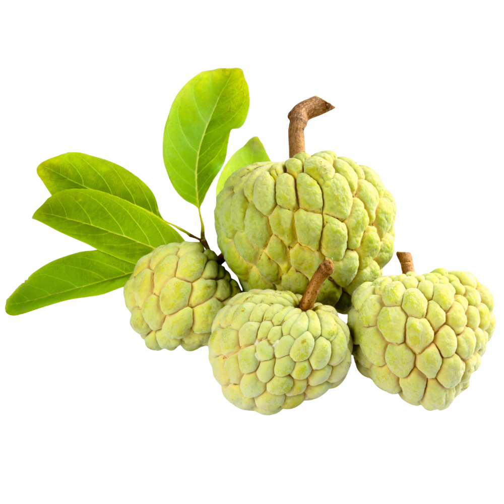 Giỏ Trái Cây Vũng Tàu: Quà Tặng Ý Nghĩa Cho Mọi Dịp!