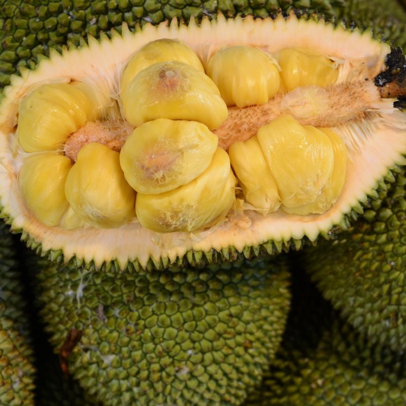 Mít tố nữ – Thế Giới Trái Cây