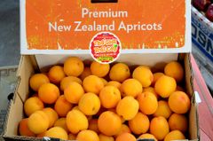 Mơ tươi SunDrops New Zealand