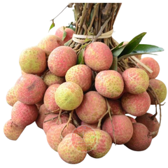 Vải trứng hàng máy bay - kg