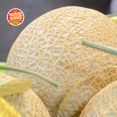 Dưa lưới Nhật Fuji Melon ruột xanh - kg