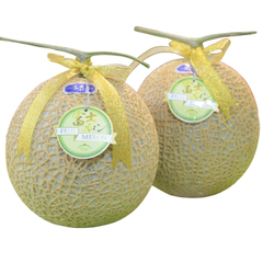 Dưa lưới Nhật Fuji Melon ruột xanh - kg