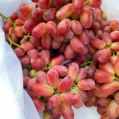 Nho đỏ LongCrimson nội địa Trung - hộp 500gr