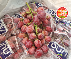 Nho đỏ hạt Chile - hộp 500gr