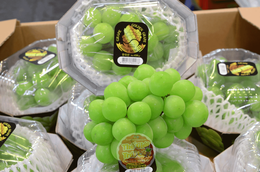 Nho Mẫu đơn Golden Grape Hàn quốc - Thế giới trái cây