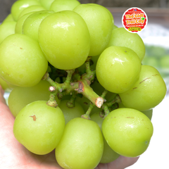 Nho Mẫu Đơn Nhân Sâm Shine Muscat Hàn quốc - hộp 800gr