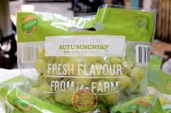 Nho xanh AutumnCrips Úc OxGrape - hộp 500gr