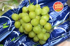 Nho xanh AutumnCrips Hellos Nam phi