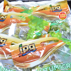 Nho xanh JPG Mỹ (hàng Air) - hộp 500gr