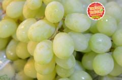 Nho xanh Peru SweetGlobe - hộp 500gr
