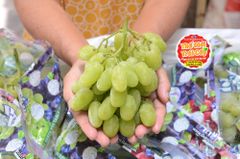 Nho xanh SugarDrop Mỹ - hộp 500gr