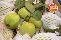 Ổi Ruby ruột đỏ - kg