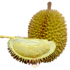 Sầu riêng Chuồng bò (nguyên trái chưa tách vỏ) - kg