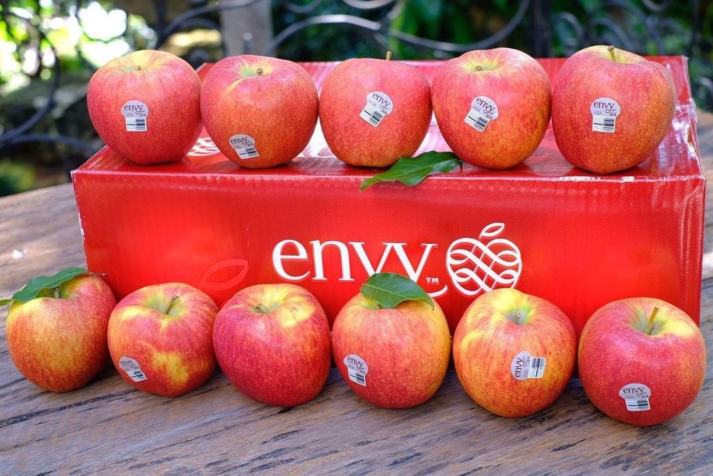 Thời điểm ăn táo Envy tốt nhất