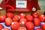 Táo Envy NewZealand size 90 HG - kg